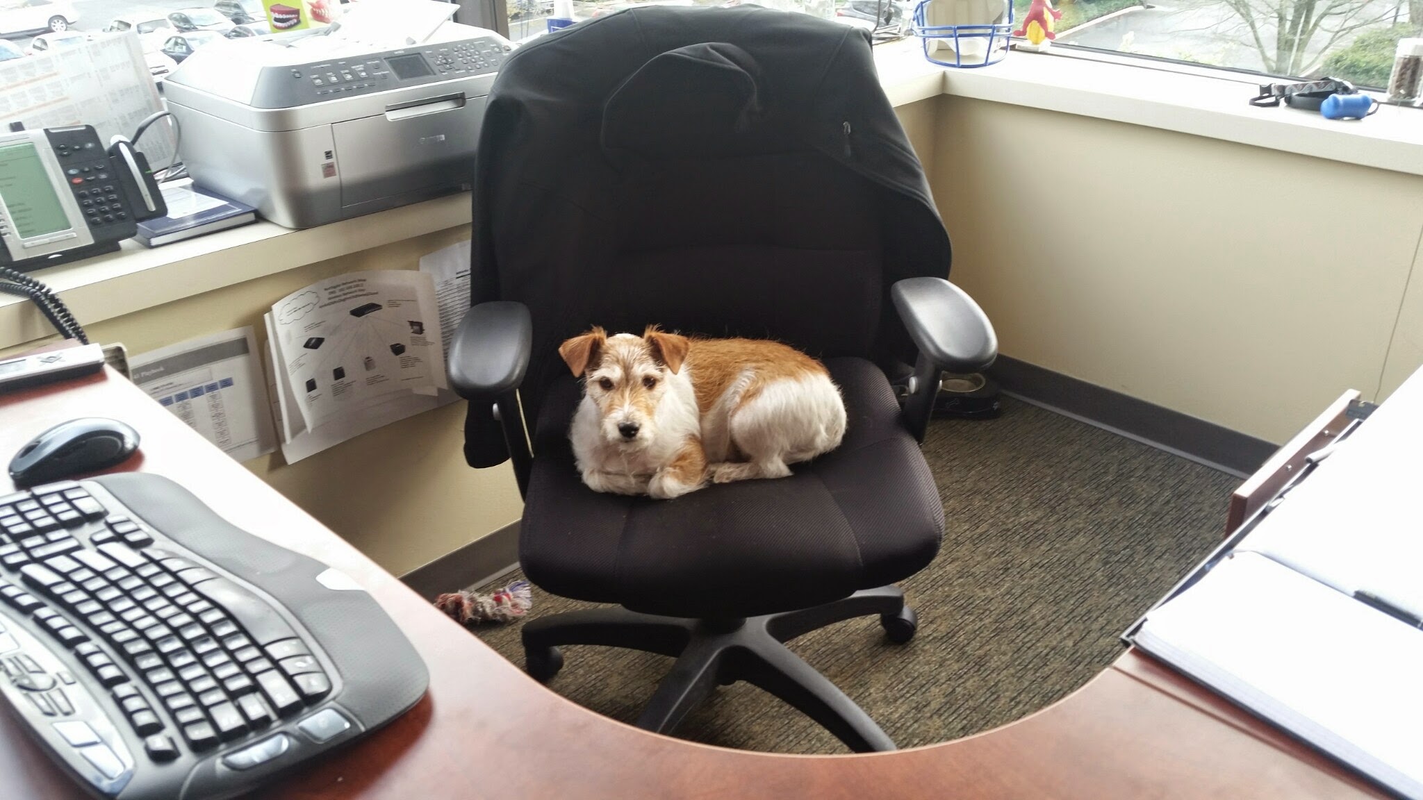 I’m the Boss of this Company