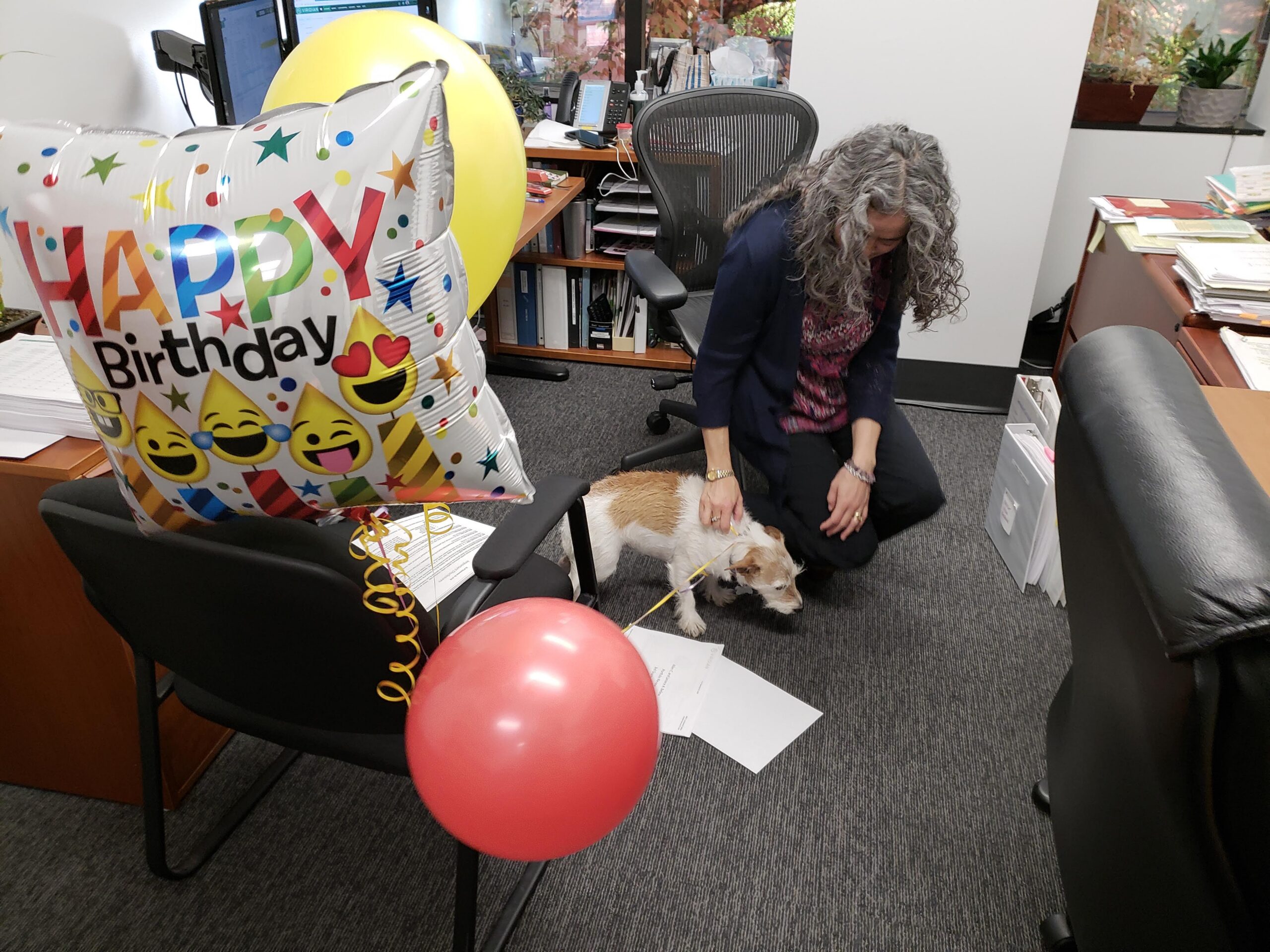Did I mention I love celebrating birthdays in the office