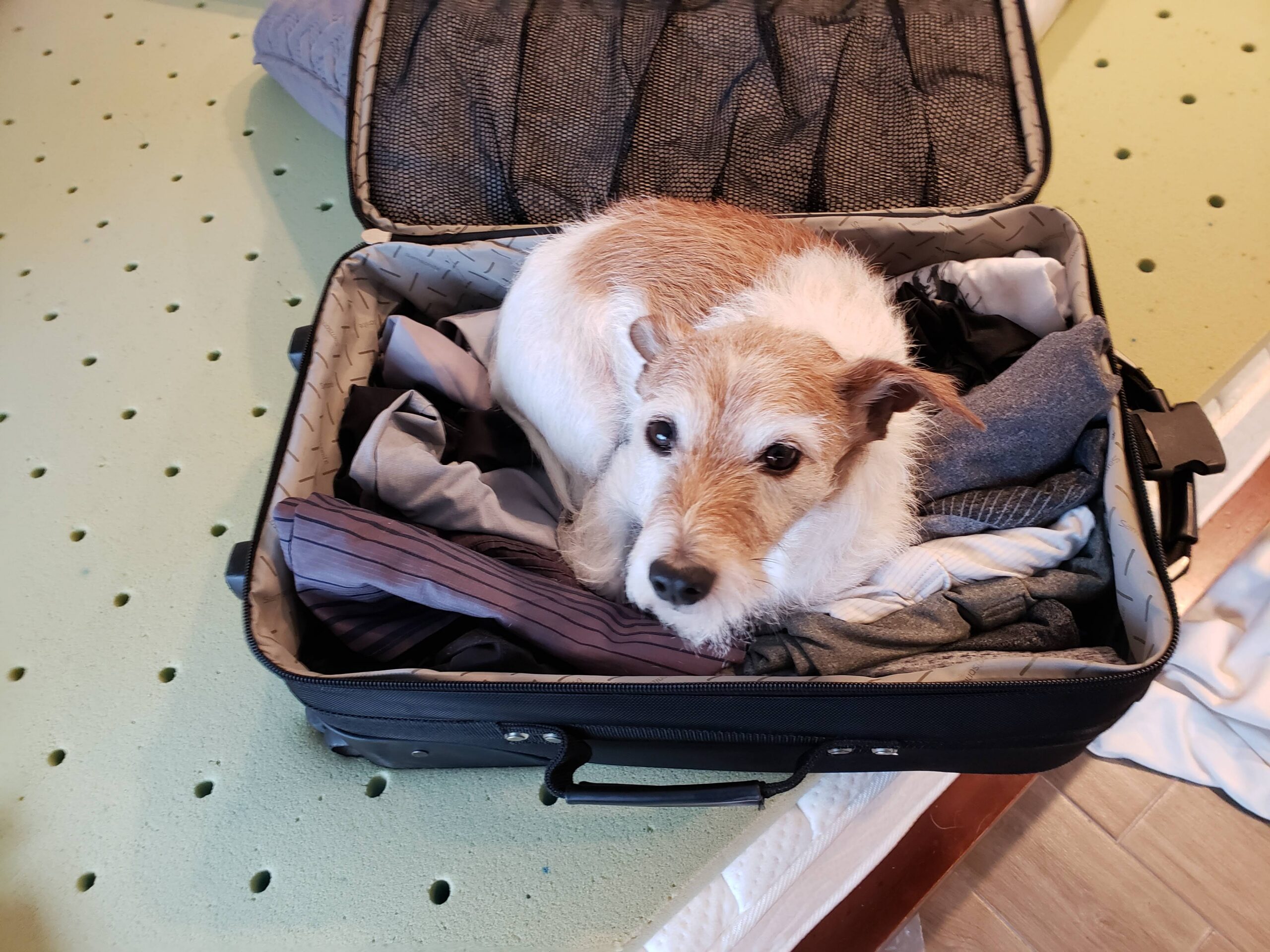 You should not be allowed to go on vacation with me.