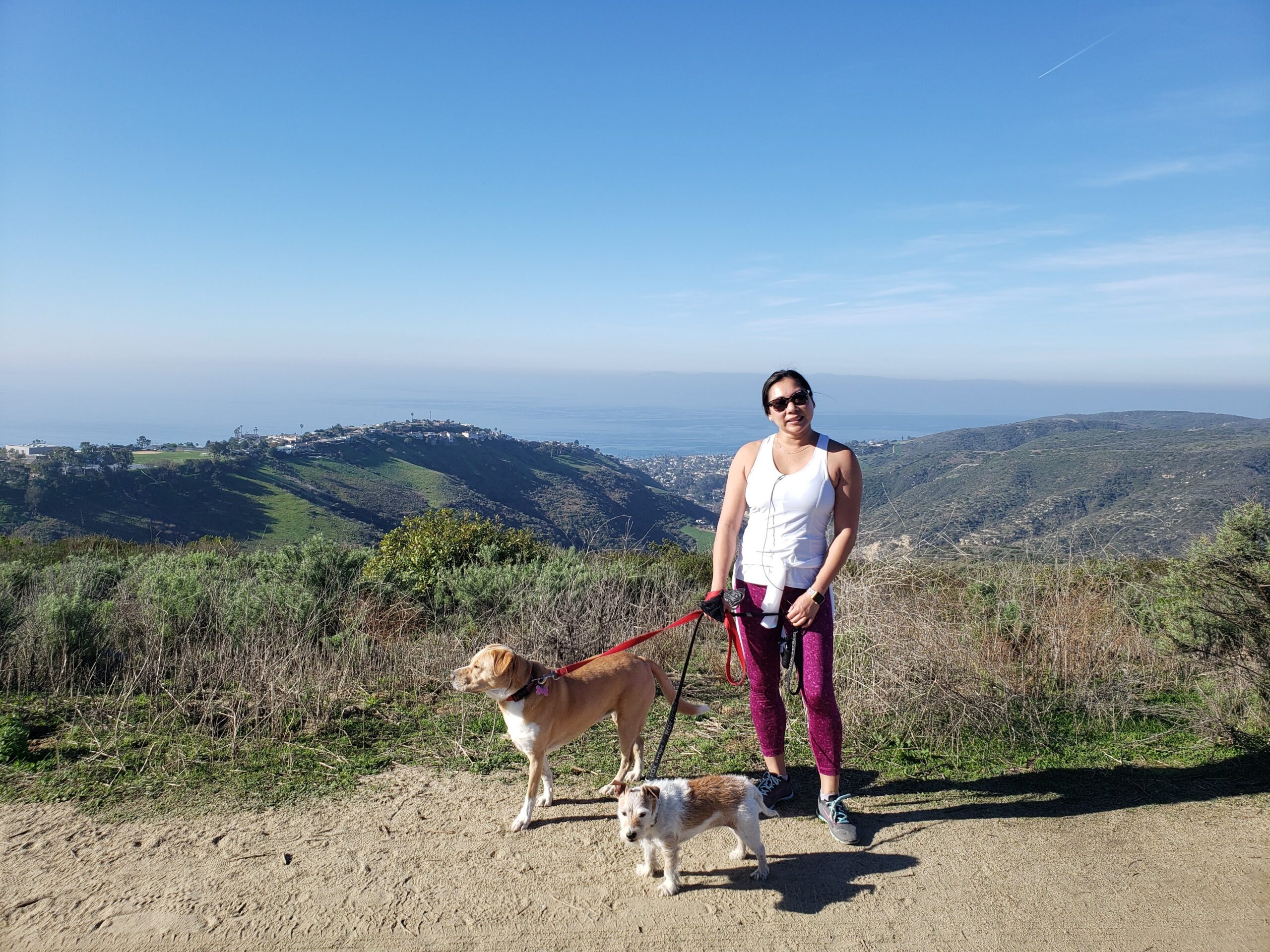Its like the Top of the World