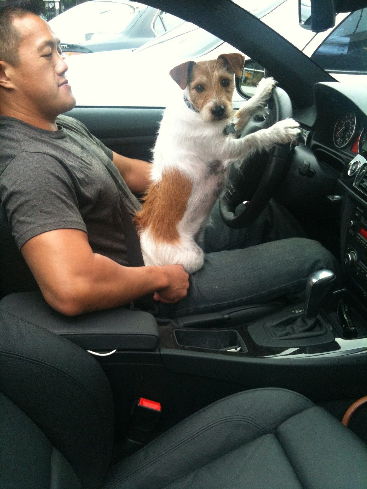 I drive this family