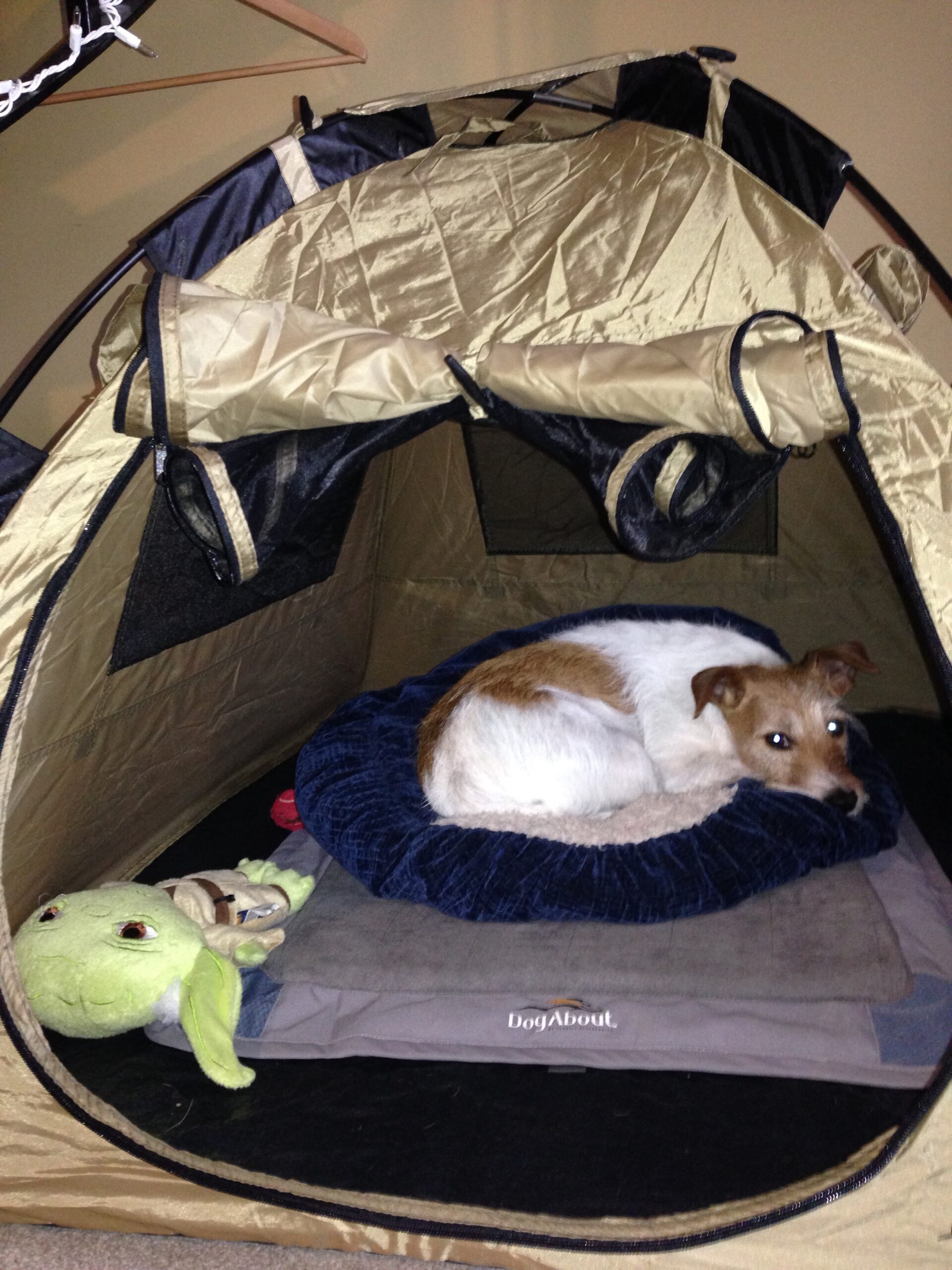I finally get my own tent.