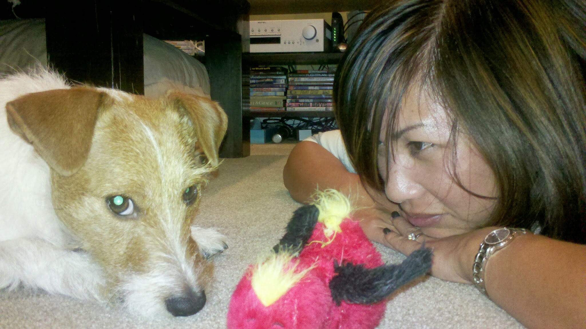 Its a battle for the red stuffie
