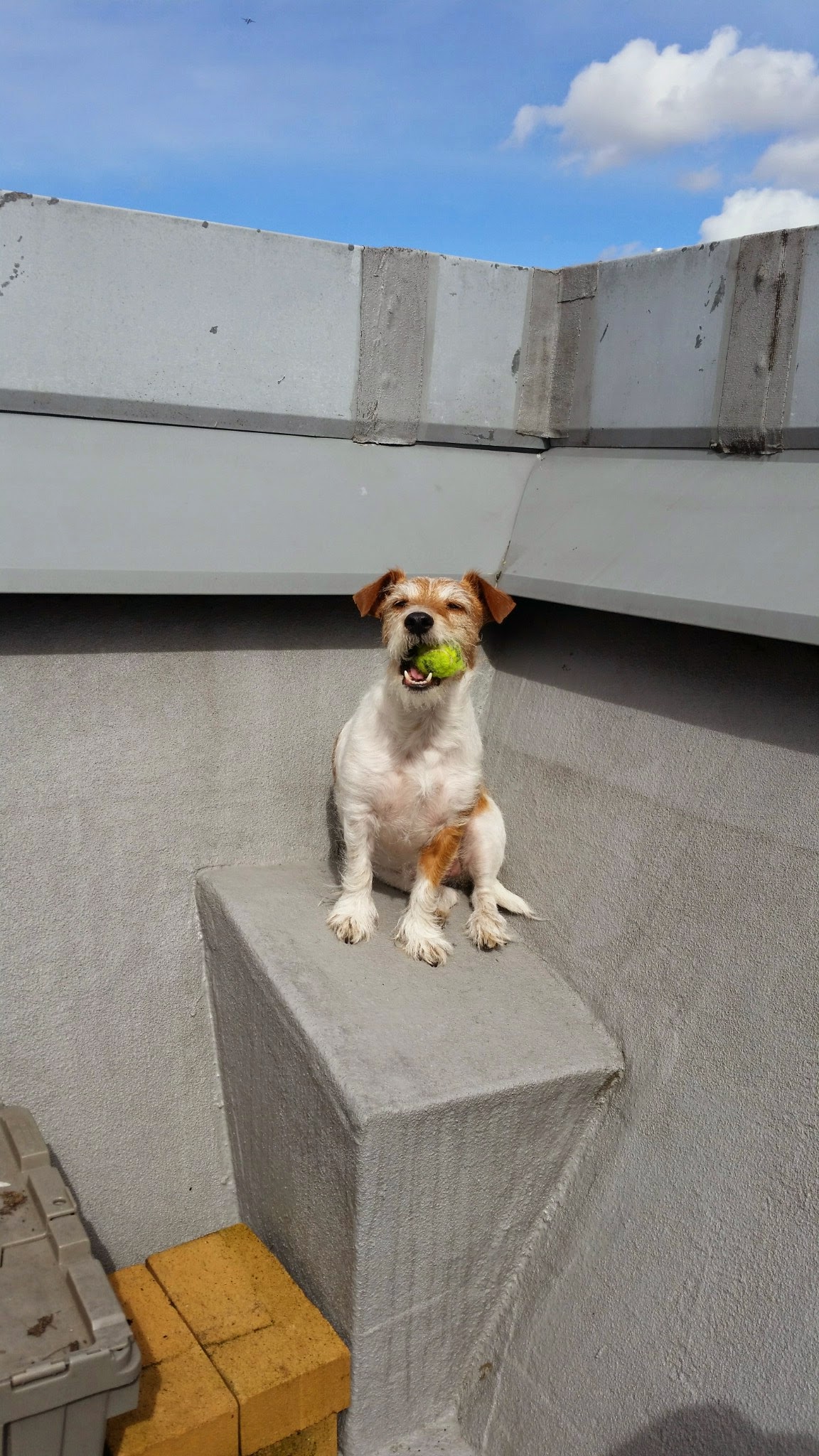 I don’t know why I love sitting in this weird corner pedestal, but I do.