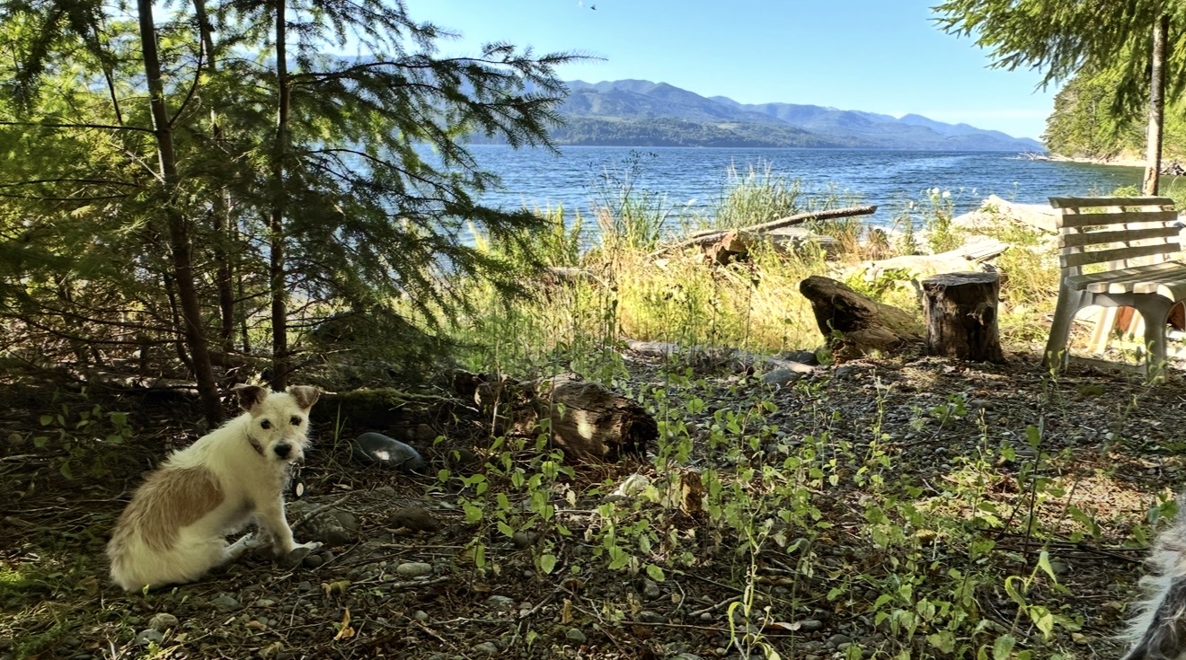Nothing beats the great outdoors