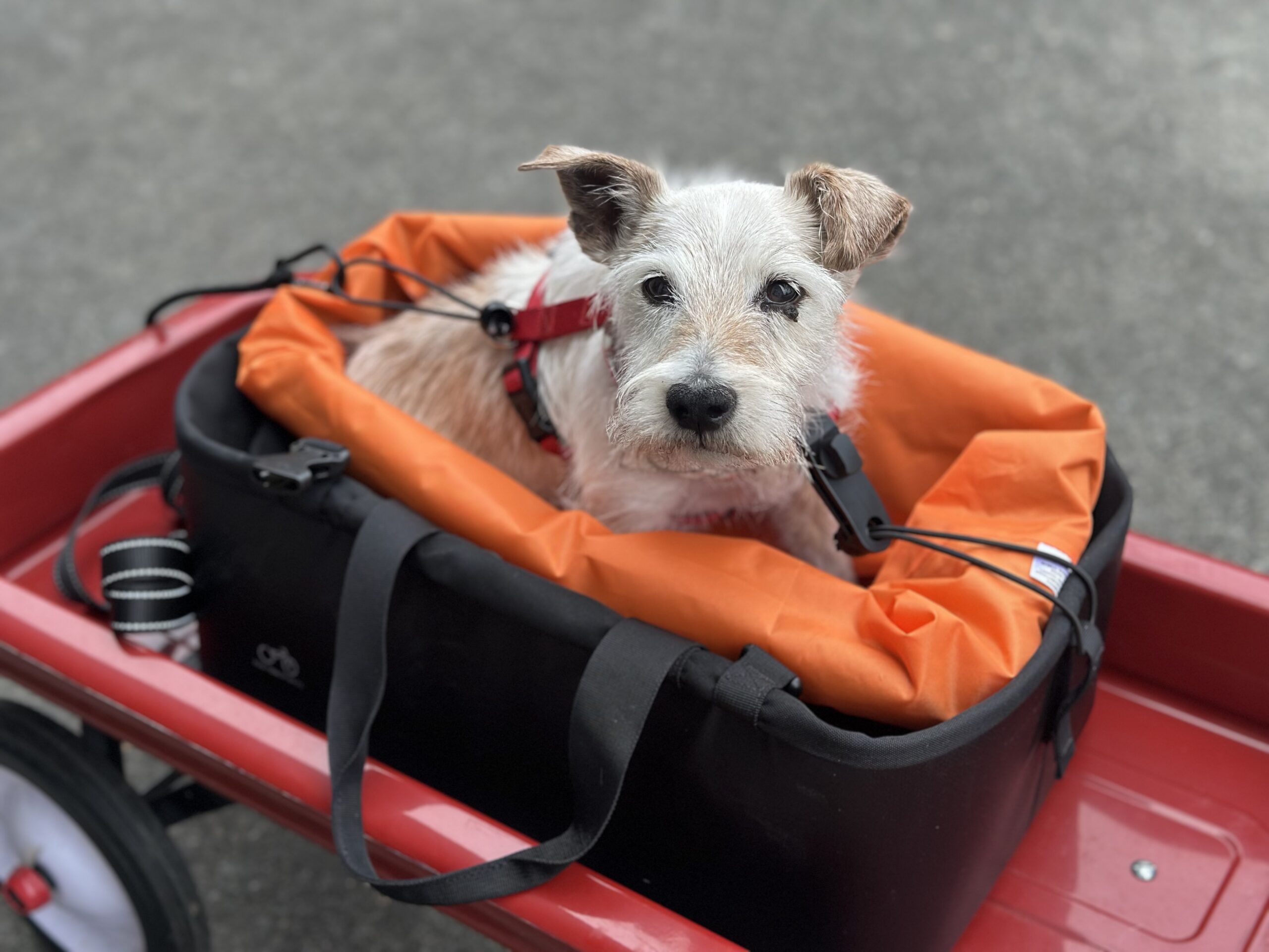 I do like to travel in style.